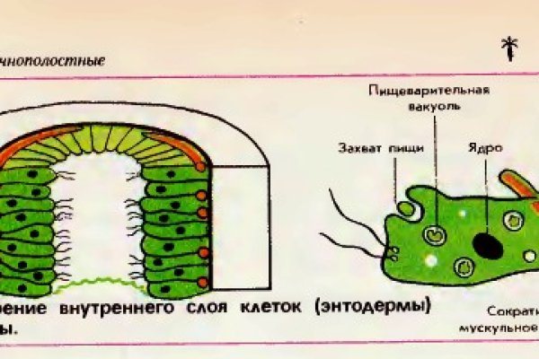 Ссылка omgomgomg