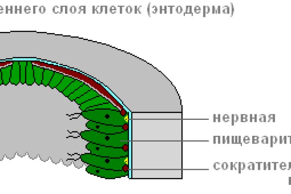 Ссылка на омг омг